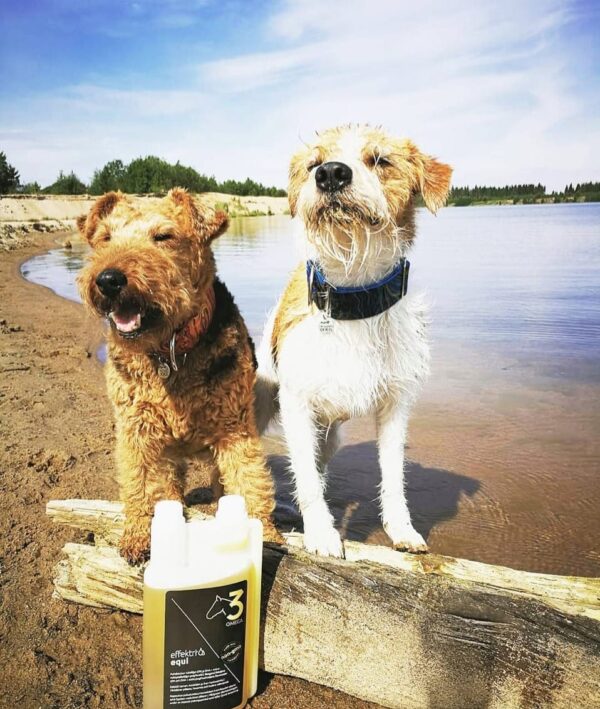 Tim en tom met Balanstri