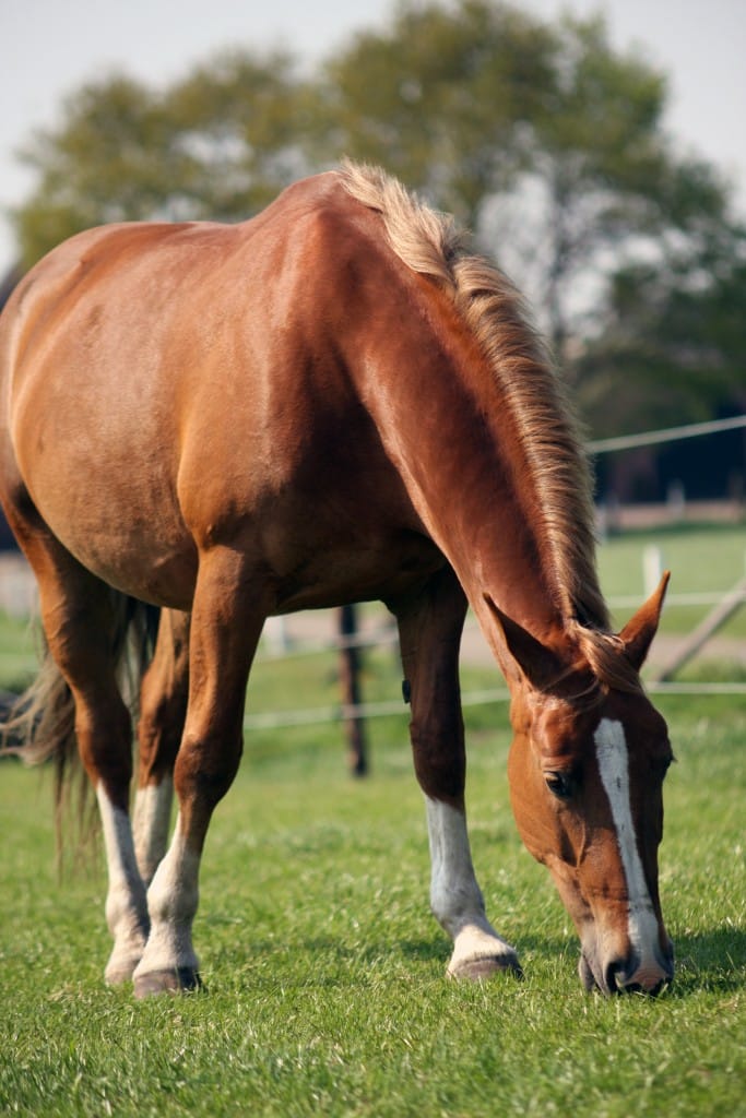 Insulin resistance Insulin resistance