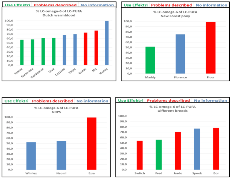 White paper Balanstri Horse