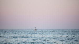 Veelgestelde vragen over Balanstri