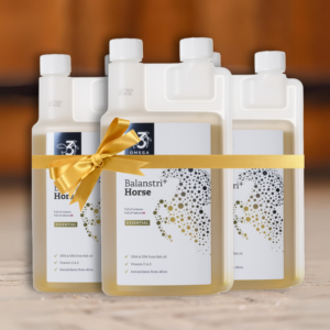 Balanstri <br/>Horse Essential Box