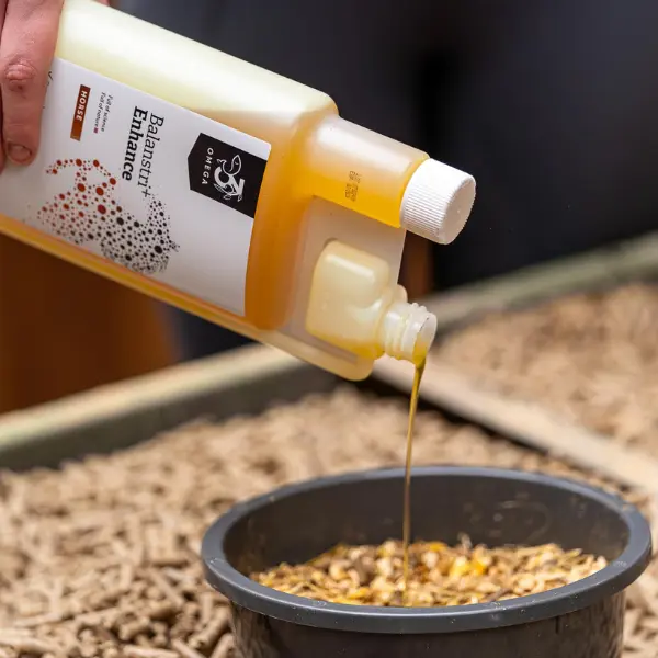 Balanstri Horse Enhance Kurkuma - Afbeelding 3