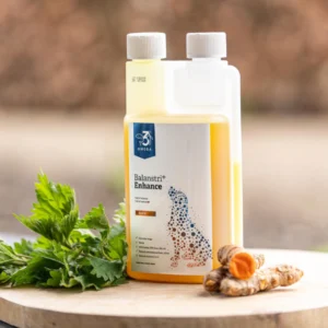 Balansti omega-3 Enhance voor honden