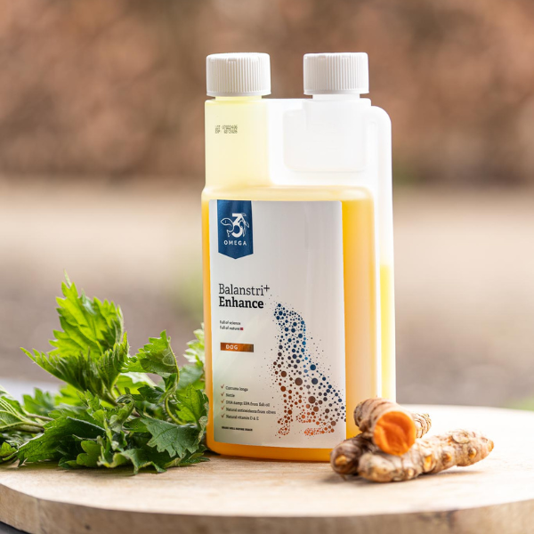 Balansti omega-3 Enhance voor honden