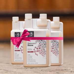 Balanstri Move Box Abonnement